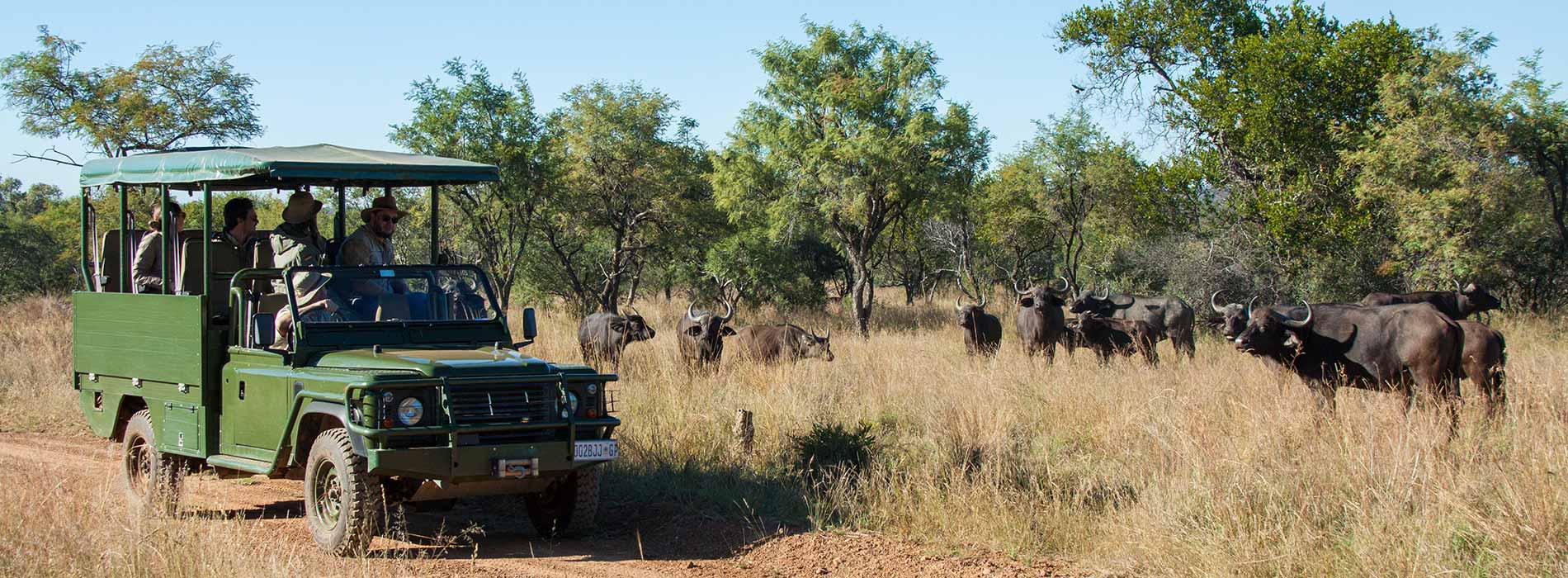 Zepra lodge 11